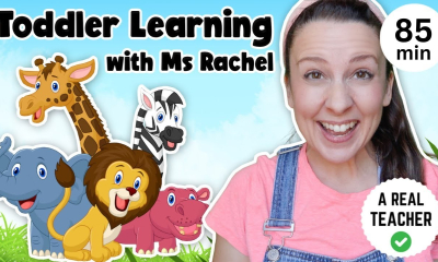 Ms Rachel - Toddler Learning Videos: Links, Reviews, And Screenshots