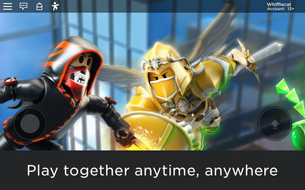 Roblox Screenshot 10